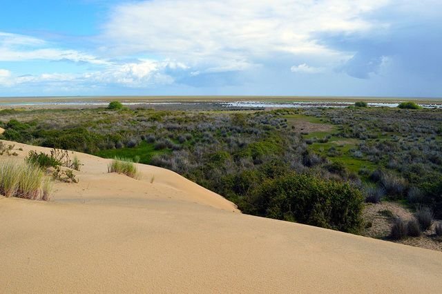 Parc national de Doñana