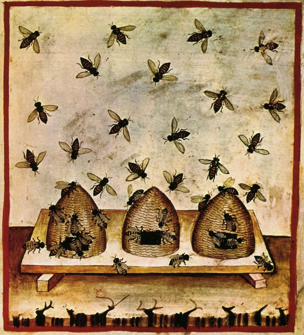 Apiculture