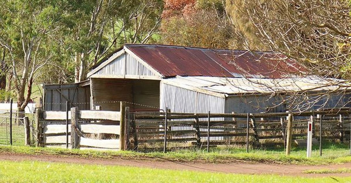 Créez la maison idéale pour vos animaux de ferme avec un hangar