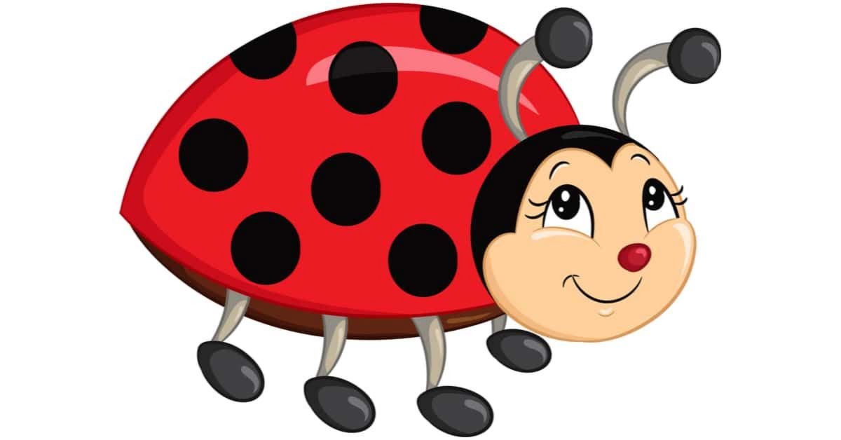 Coccinelle clipart