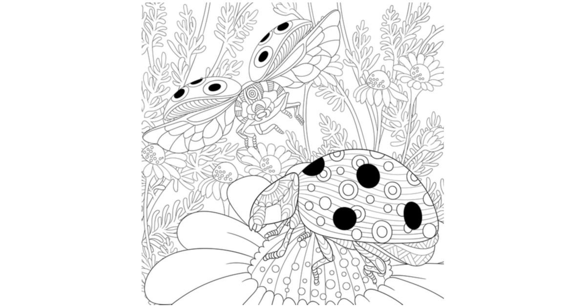 Coloriages et dessins de coccinelle