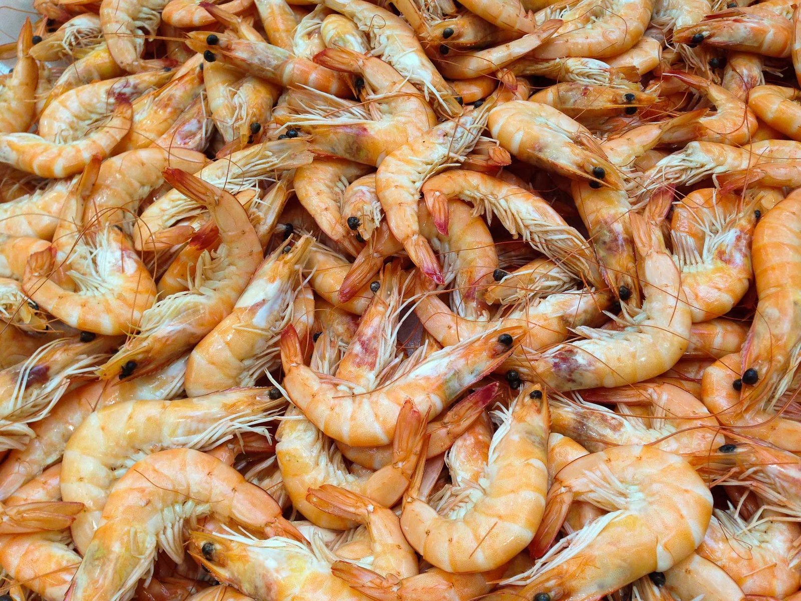 Crevettes et crevettes